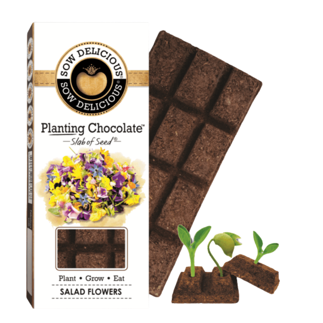 Planting Chocolate